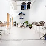 Divino Boutique فندق